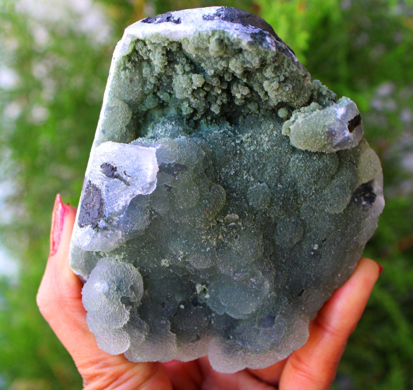 Chalcedony Coral Format On Matrix Natural Mineral Specimen #M84