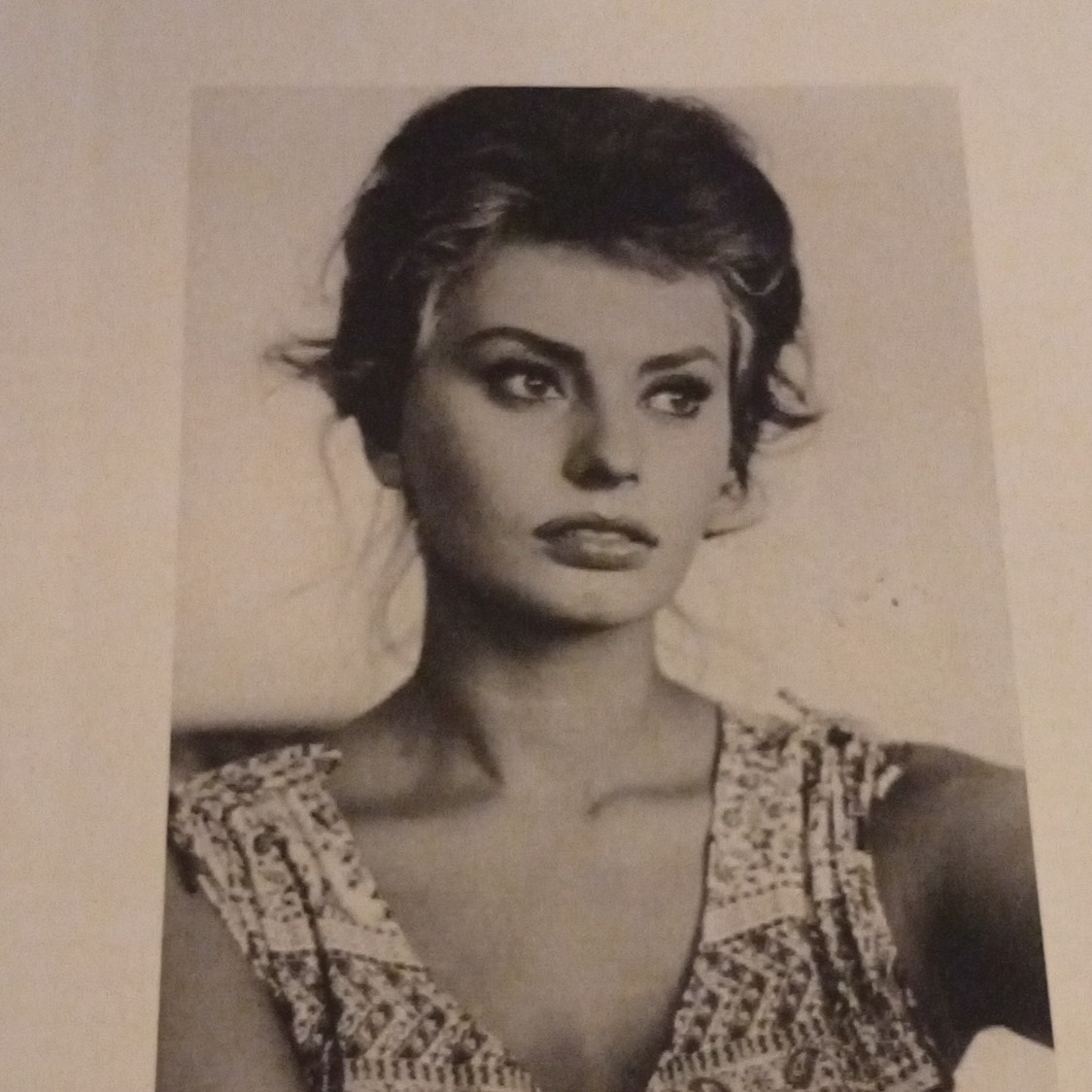 Sophia Loren Autographed Photo with Printed Biography and Date 1934