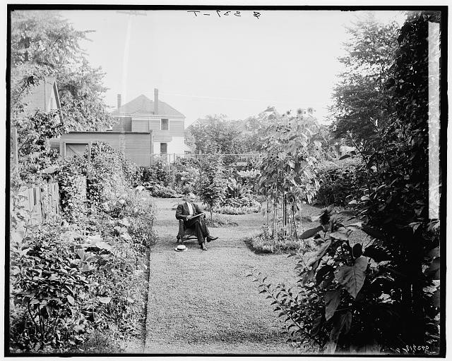Detroit Mich 1905 1915 Garden at 124 E Euclid Ave man seated in garden