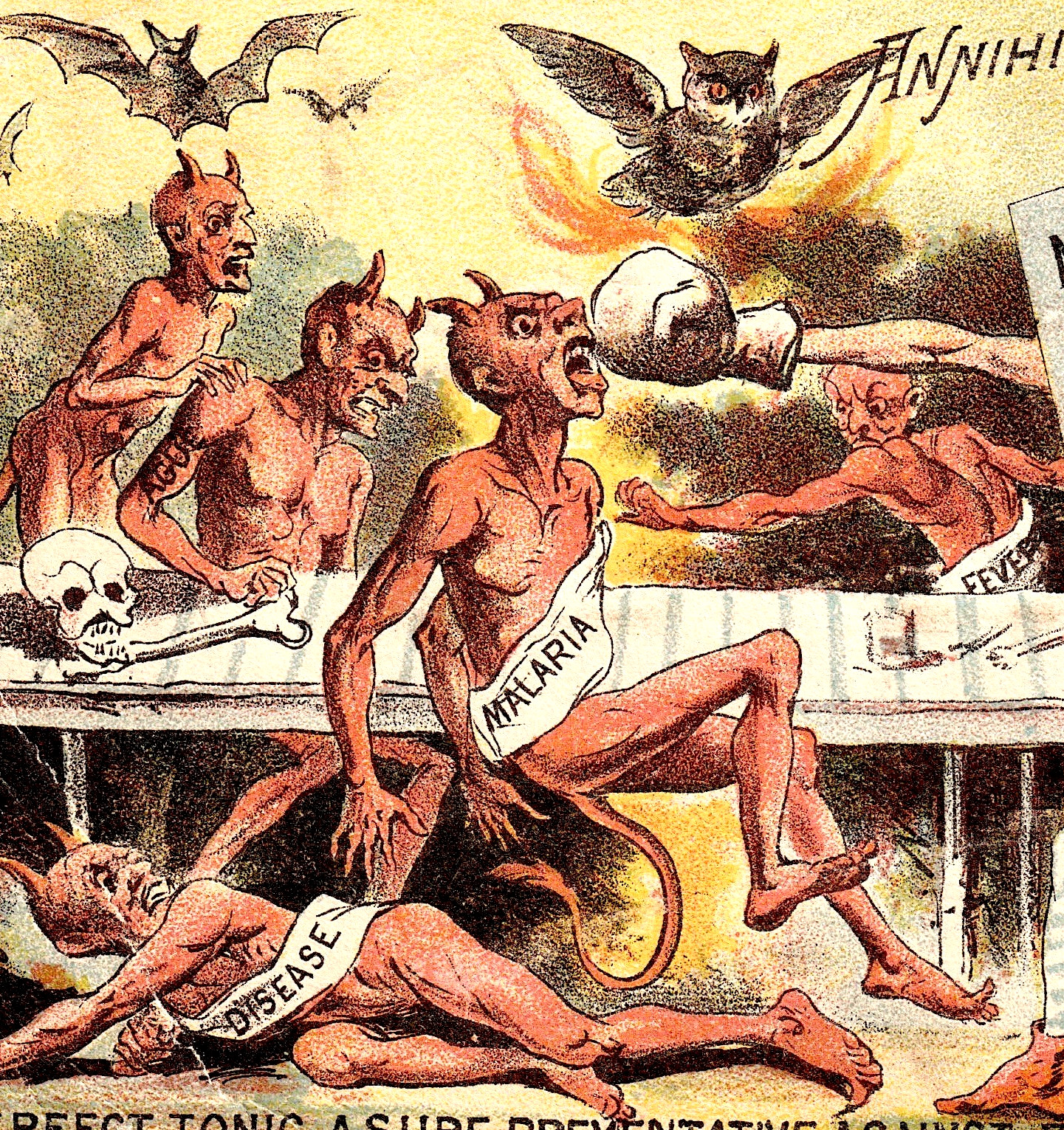 Antique 1800's Demon Quack Cure Adv Trade Card Owl Fantasy Devil Skull Halloween