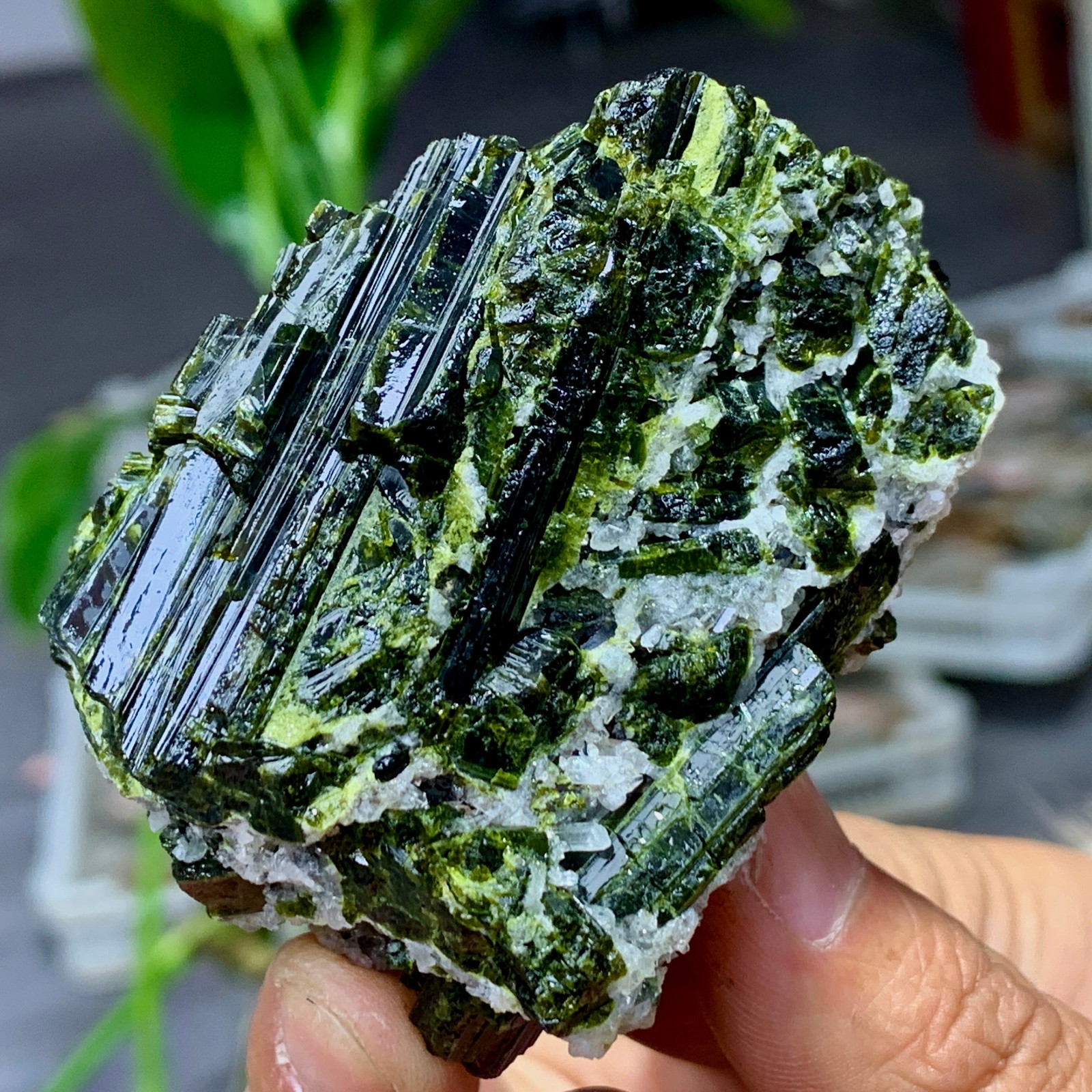 131G Natural green tourmaline quartz crystal cluster mineral specimen