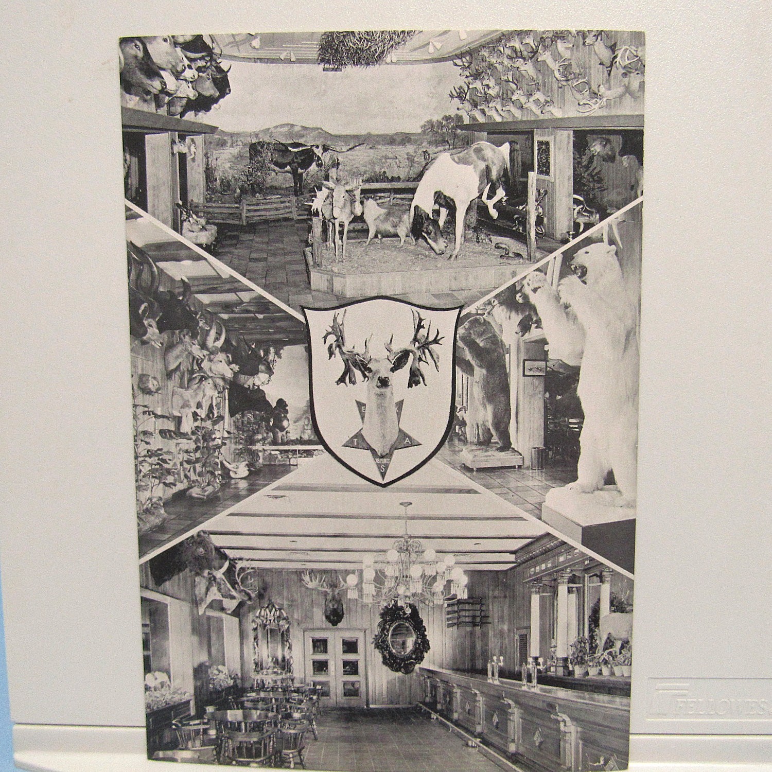 Texas Beer LONE STAR BREWING Lrg Advertising Postcard Buckhorn Hall Horn Vintage