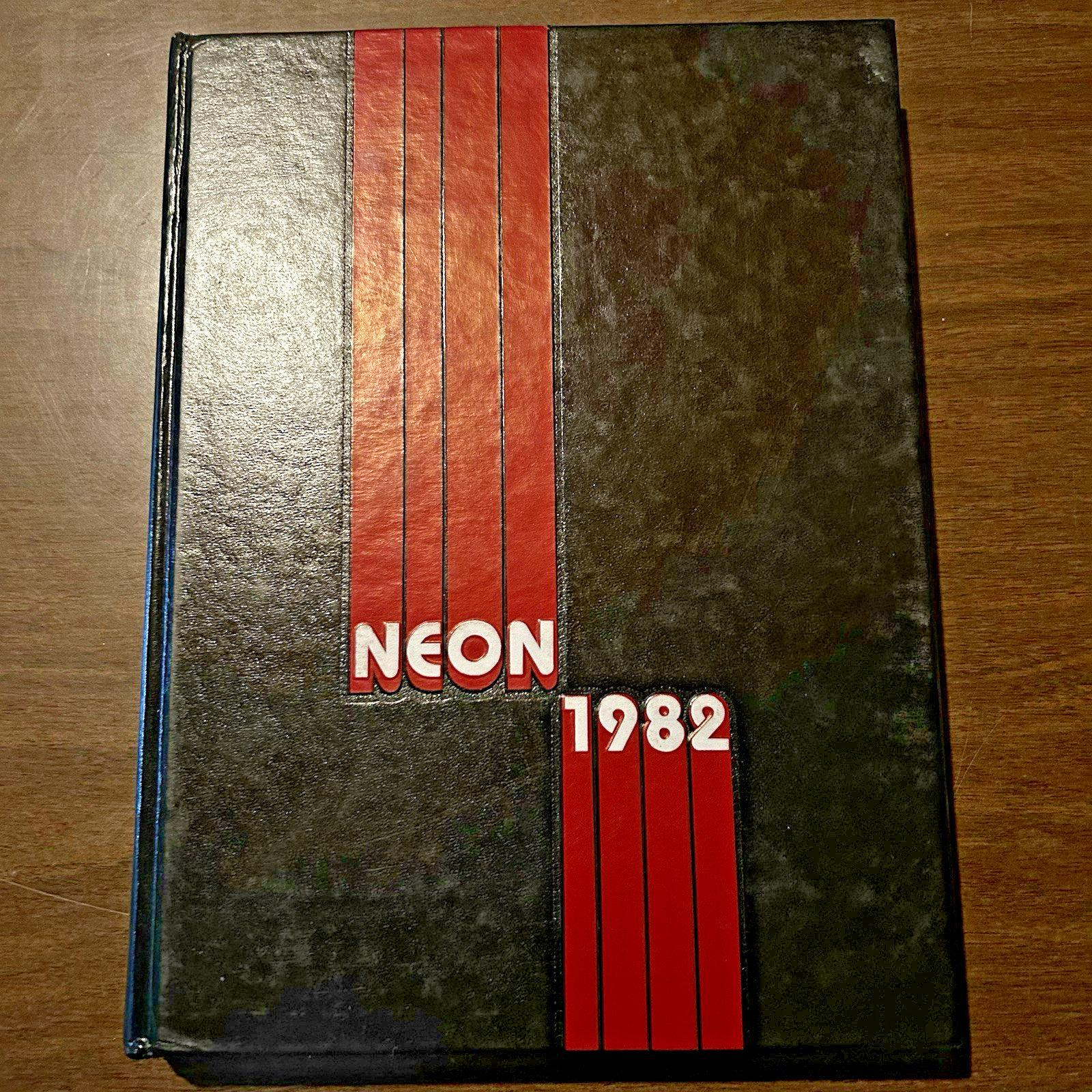 1982 Yearbook Youngstown State University NEON YSU Vintage Photographs