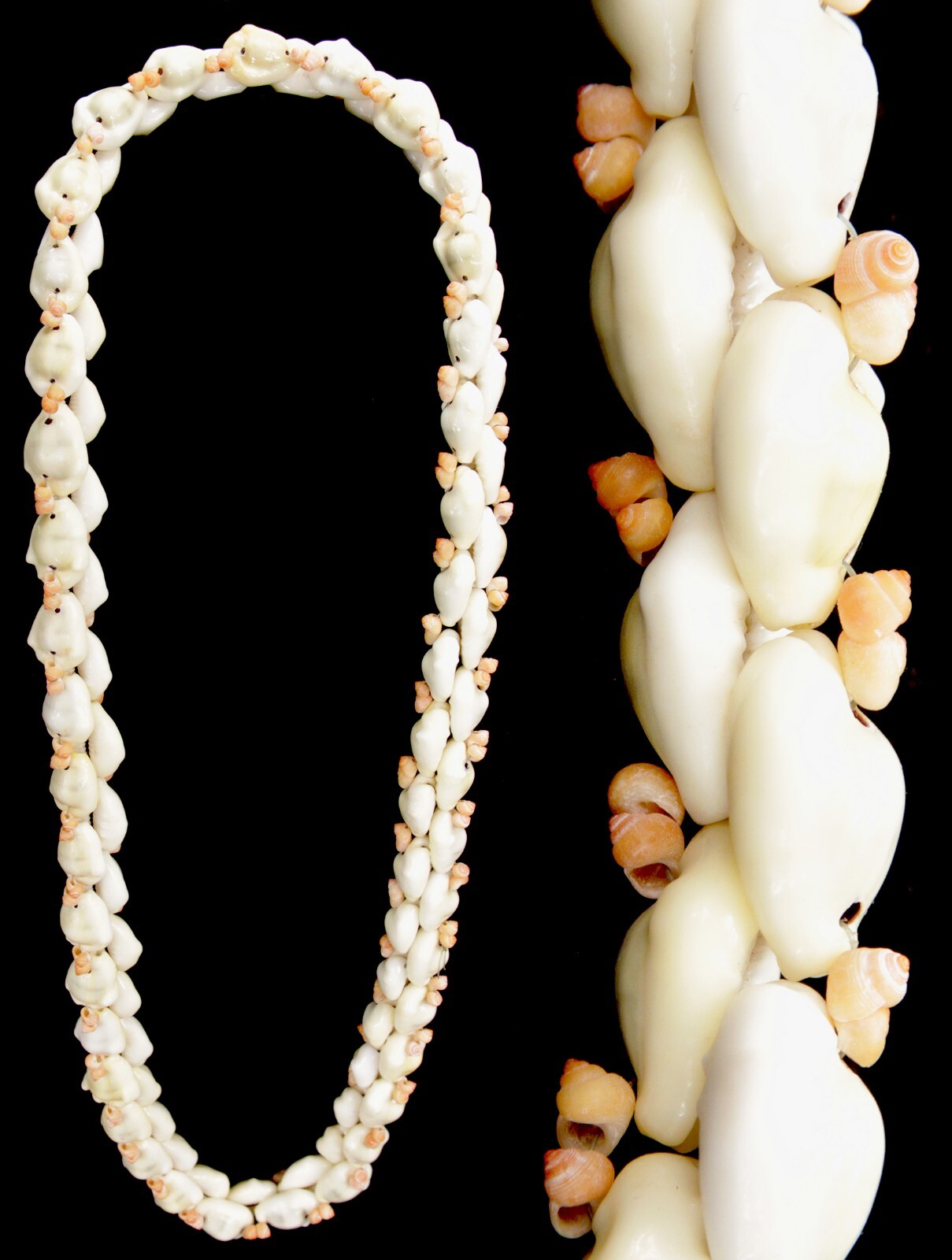Polynesian Hawaiian Cowrie Shell Lei Necklace Hawaii Wedding Tiki Luau 18\
