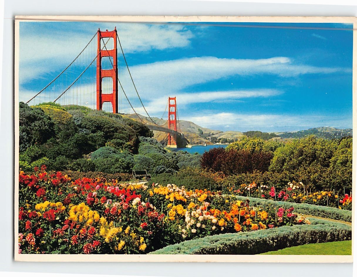 Postcard Carpet of fresh summer flowers Golden Gate Bridge San Francisco CA USA