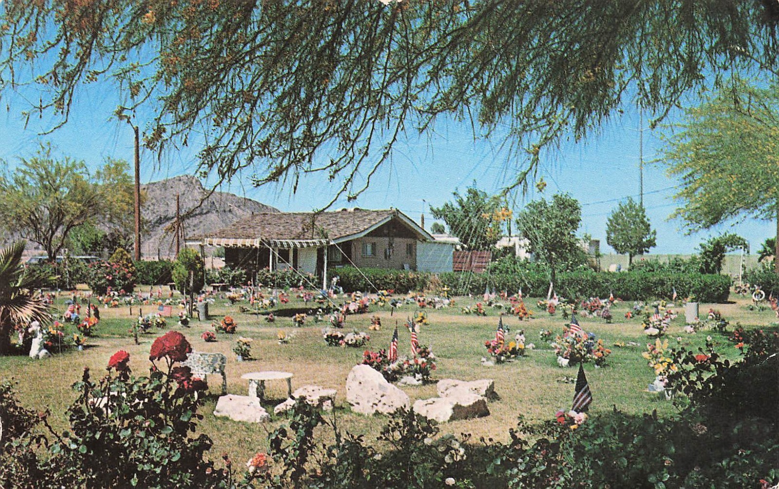 Tempe Arizona Pet Animals Rest Memorial Mortuary Cemetery Vtg Postcard I41