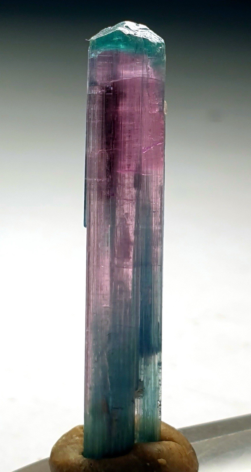 Top Quality Beautiful Blue Cap Bi-Colour Tourmaline Terminated Crystal Top Quality Beautiful Blue Cap Bi-Colour Tourmaline Terminated Crystal