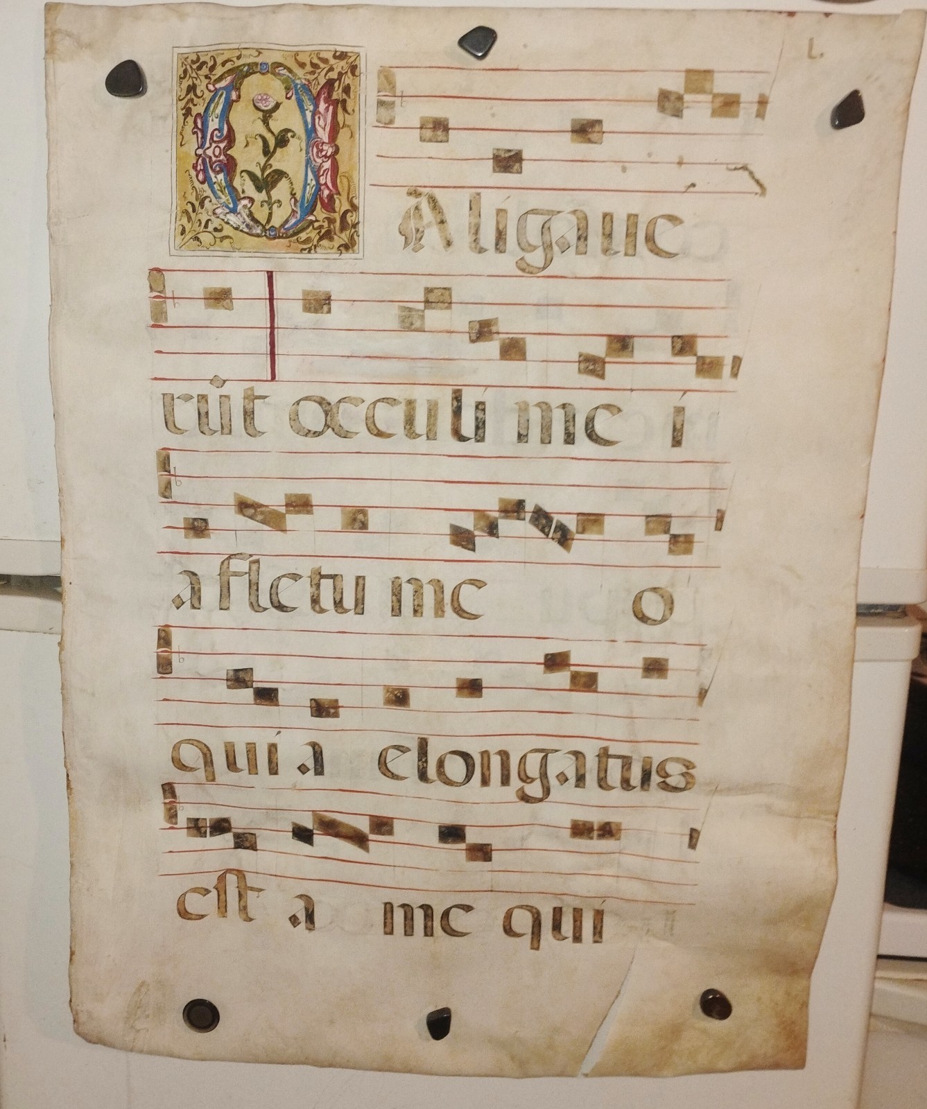 1500s Illuminated Medieval Manuscript Leaf Gregorian Chant on Vellum 1500s Illuminated Medieval Manuscript Leaf Gregorian Chant on Vellum