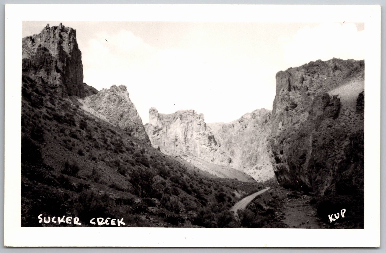 RPPC Sucker Creek near Waldo OR Canyon Road Real Photo Postcard KUP