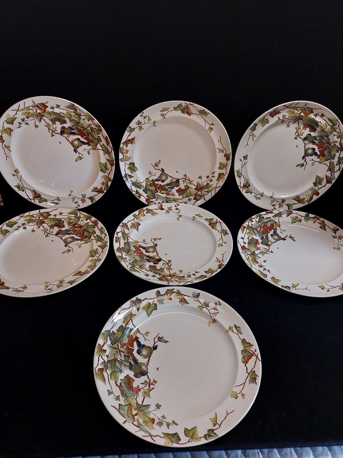 Set of 7 Ivy Bower Plates George Jones and Sons Staffordshire Made Sept.29 1881 Set of 7 Ivy Bower Plates George Jones and Sons Staffordshire Made Sept.29 1881