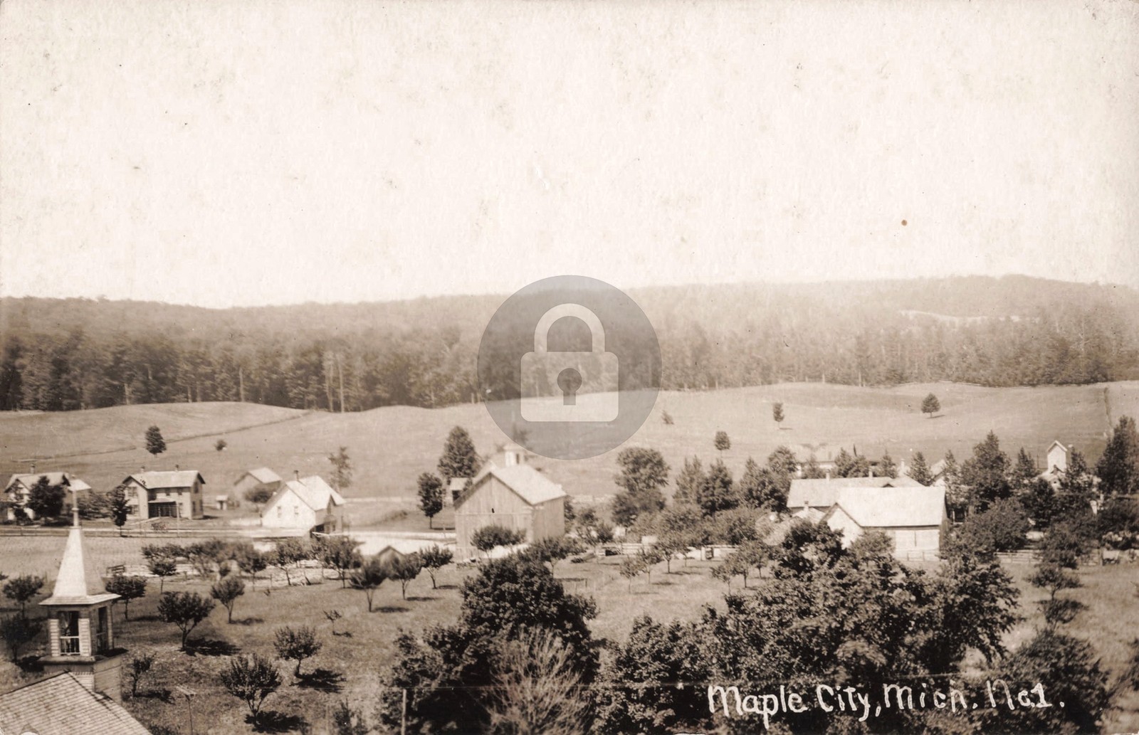 Bird's-Eye View Maple City No.1 MI Michigan RPPC Photo Postcard COPY Bird's-Eye View Maple City No.1 MI Michigan RPPC Photo Postcard COPY