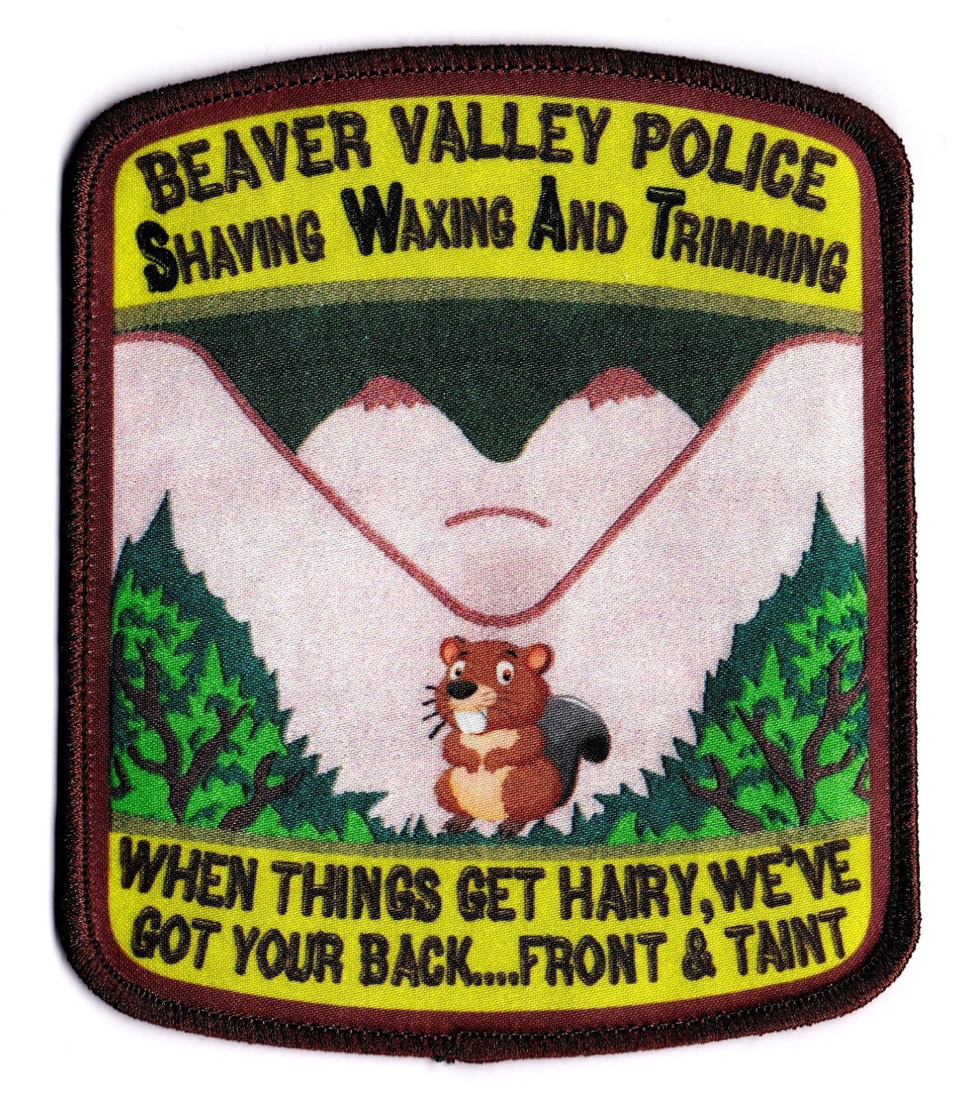 BEAVER VALLEY POLICE  SWAT  SERT  ERT