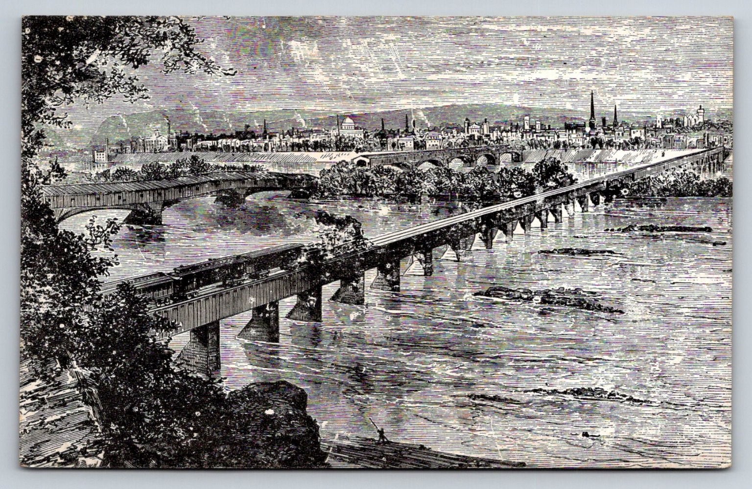 Harrisburg PA View From Ft Washington Camel-Back Covered Bridge Postcard