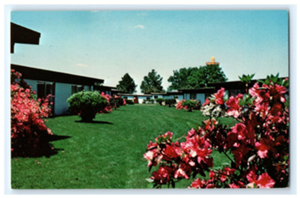 1981 Postcard South of The Border Motel Pedro\'s Gardens Azaleas South Carolina