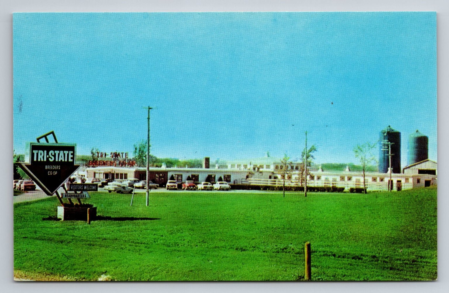 Tri-State Breeders Co-op Westby Wisconsin Vintage Photochrome Postcard Tri-State Breeders Co-op Westby Wisconsin Vintage Photochrome Postcard