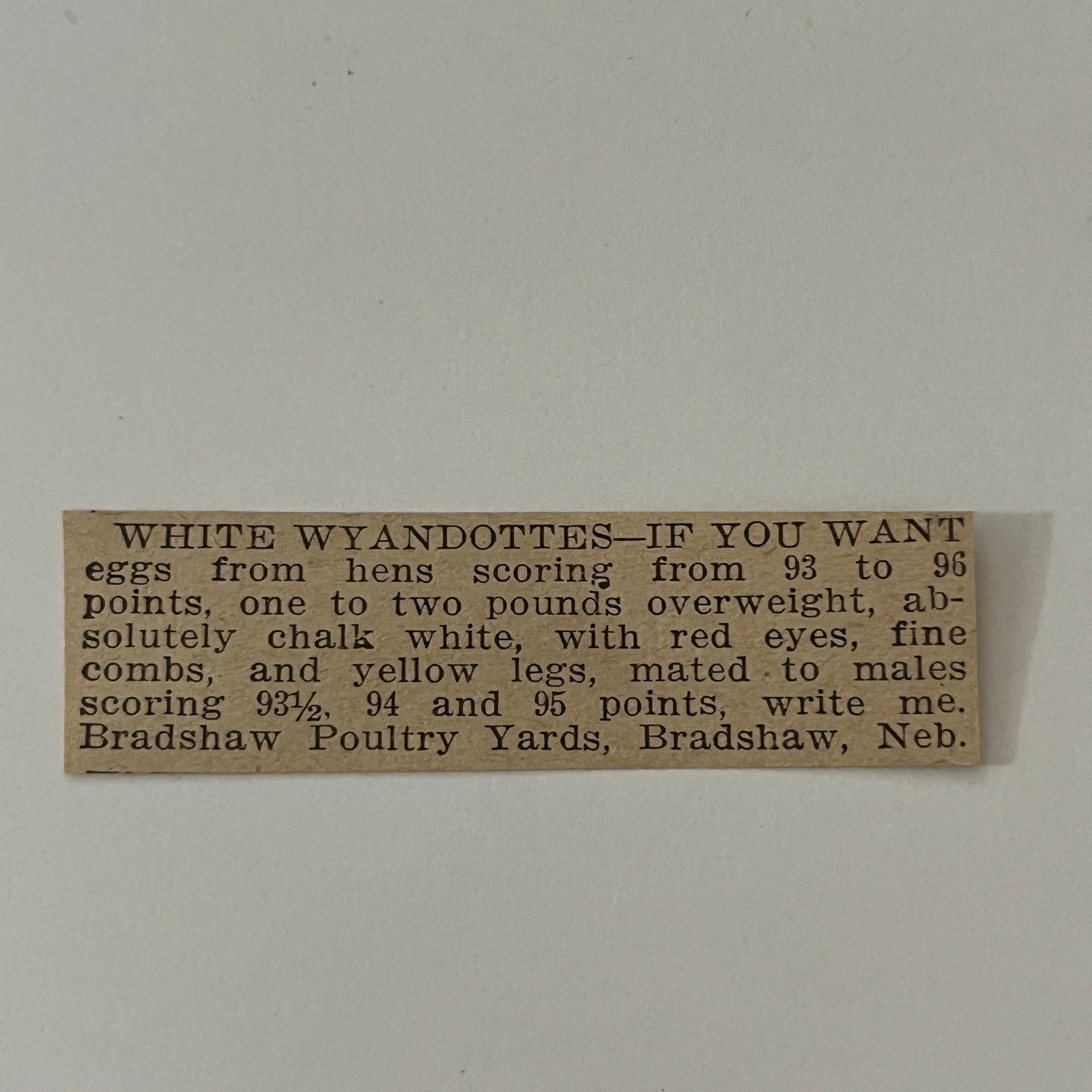 Bradshaw Poultry Yards White Wyandottes Bradshaw NE 1911 Ad SAG9-S12 Bradshaw Poultry Yards White Wyandottes Bradshaw NE 1911 Ad SAG9-S12