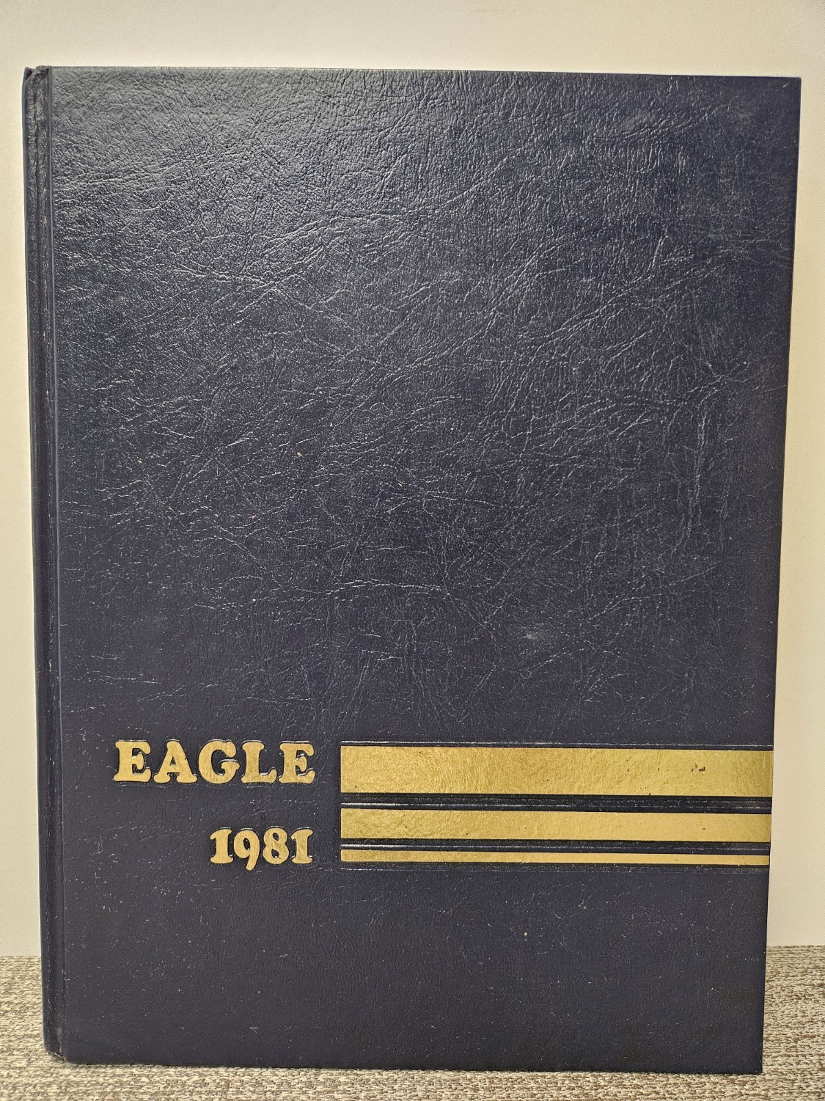 1981 NORTHEAST HIGH SCHOOL CLARKSVILLE TENNESSEE YEARBOOK #1 1981 NORTHEAST HIGH SCHOOL CLARKSVILLE TENNESSEE YEARBOOK #1