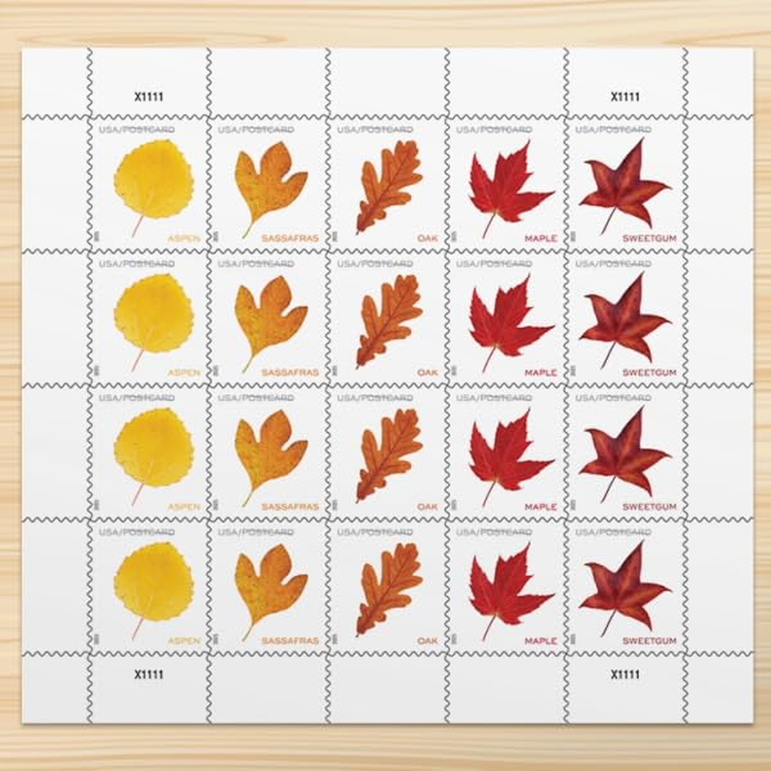 Vibrant Leaves 2025 Postcard Rate (5 Sheets of 20) Non-denominated Mail-Use P... Vibrant Leaves 2025 Postcard Rate (5 Sheets of 20) Non-denominated Mail-Use P...