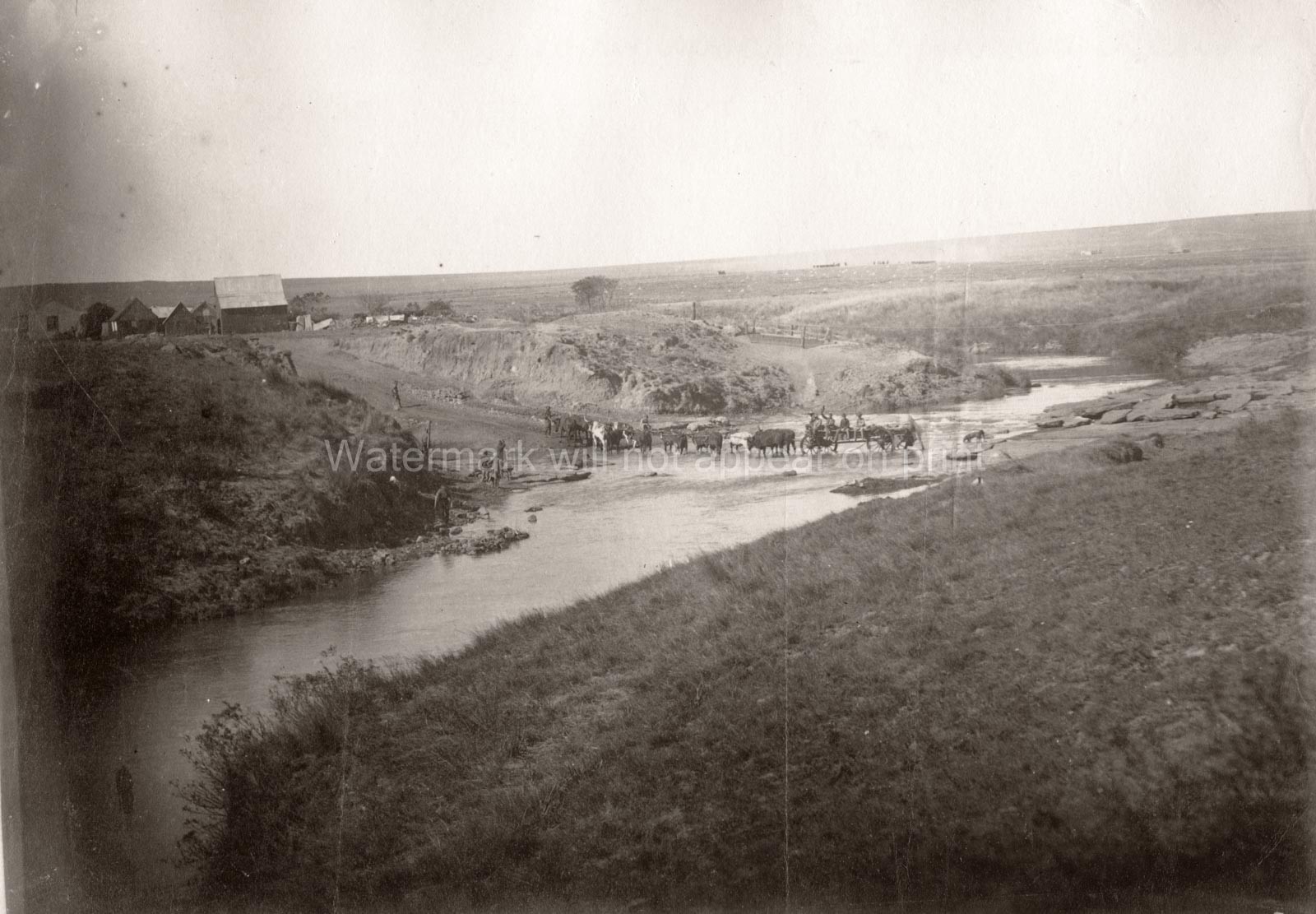 South Africa Ox Drawn Wagon Crossing River Rural Landscape Vtg. Photo 19thC.