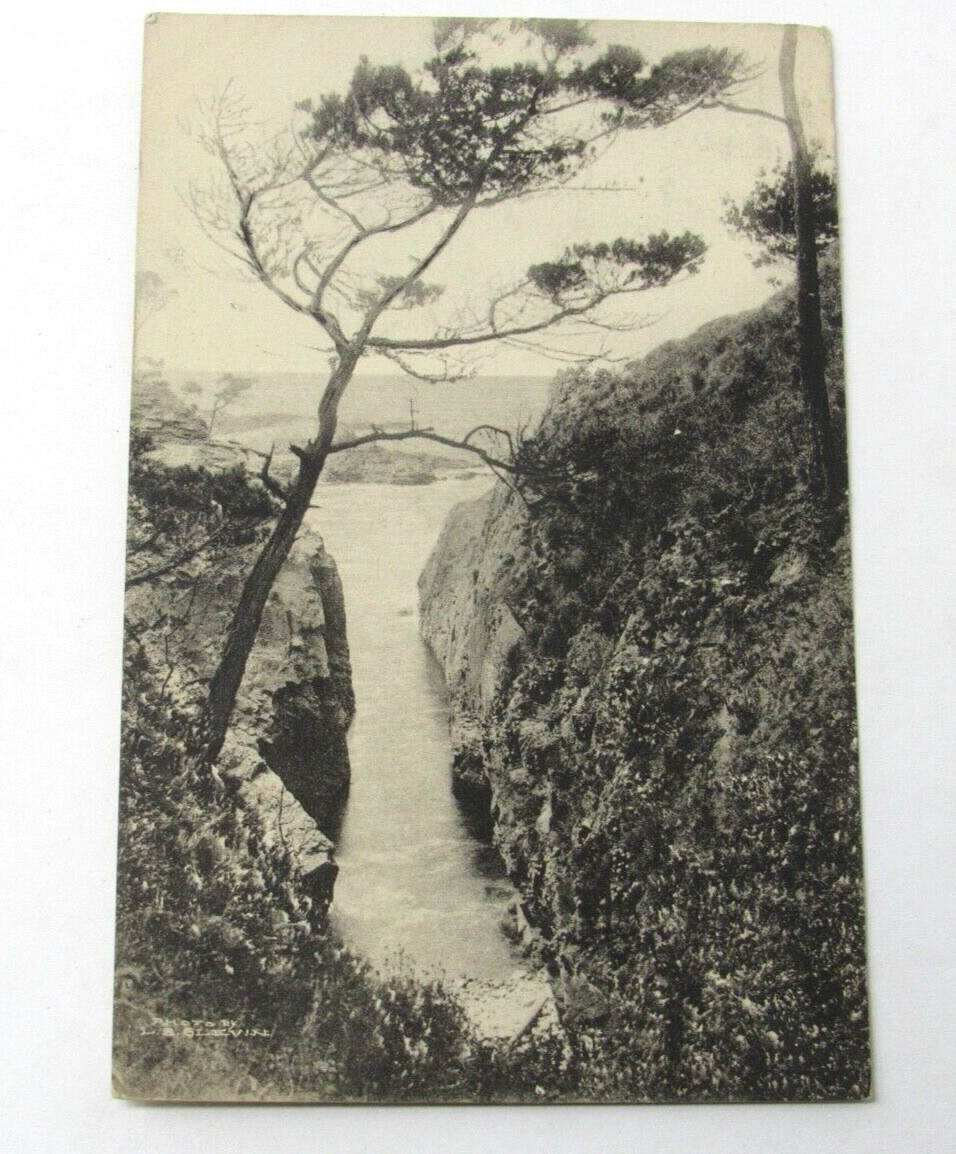 Carmel California 1921 RPPC Postcard Photographer L.S. Blevin, Monterey County