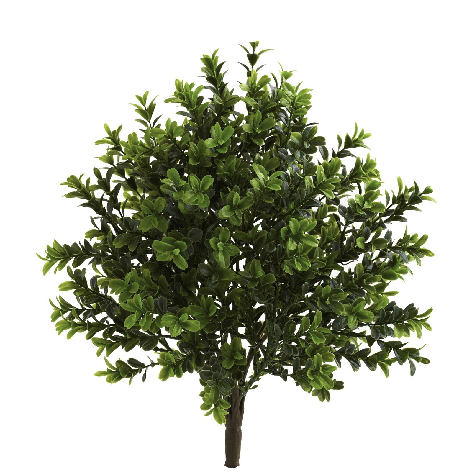 Nearly Natural 6113-S6 Sweet Grass Bush (set 6) (Indoor/Outdoor), 6 Piece,Green Nearly Natural 6113-S6 Sweet Grass Bush (set 6) (Indoor/Outdoor), 6 Piece,Green