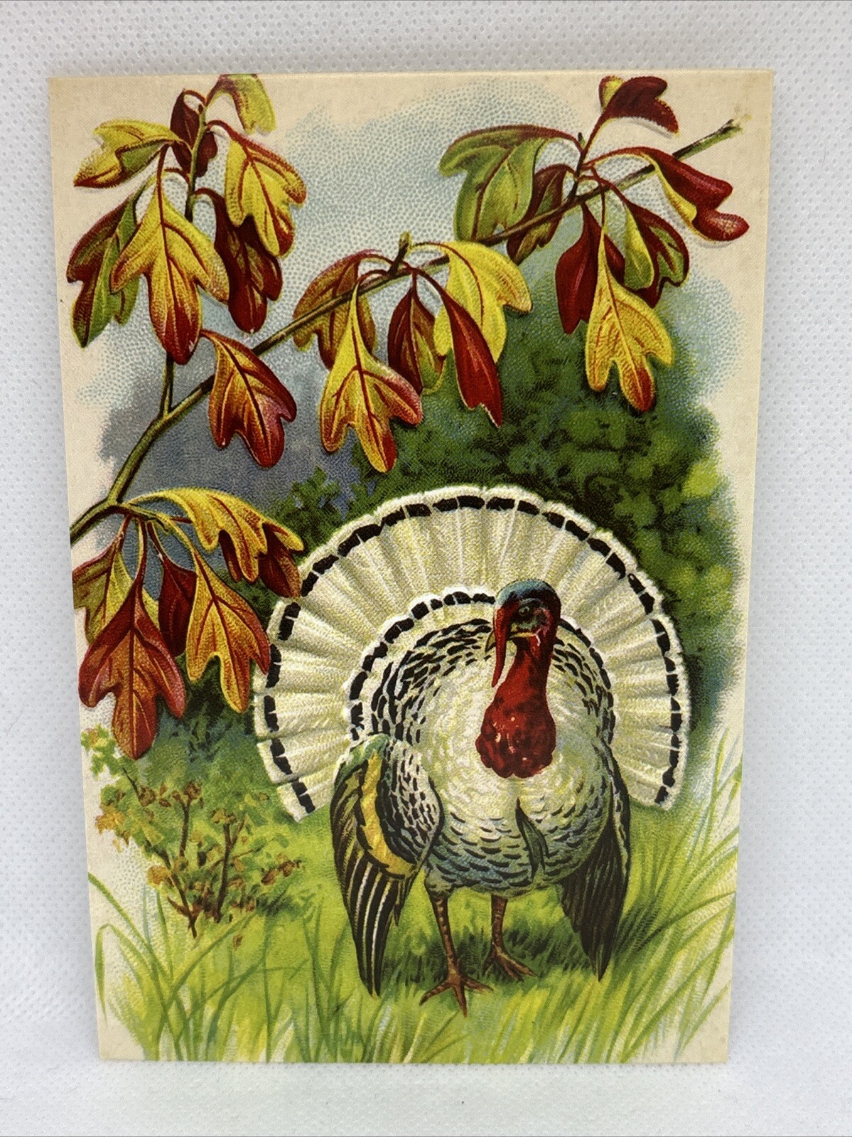 Thanksgiving Vintage Style Unused Postcard Greeting Card 4 x 6”
