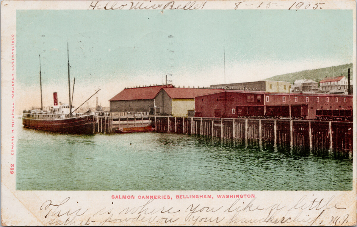 Bellingham WA Salmon Canneries c1909 Iola KS Cancel Postcard F28 *as is Bellingham WA Salmon Canneries c1909 Iola KS Cancel Postcard F28 *as is