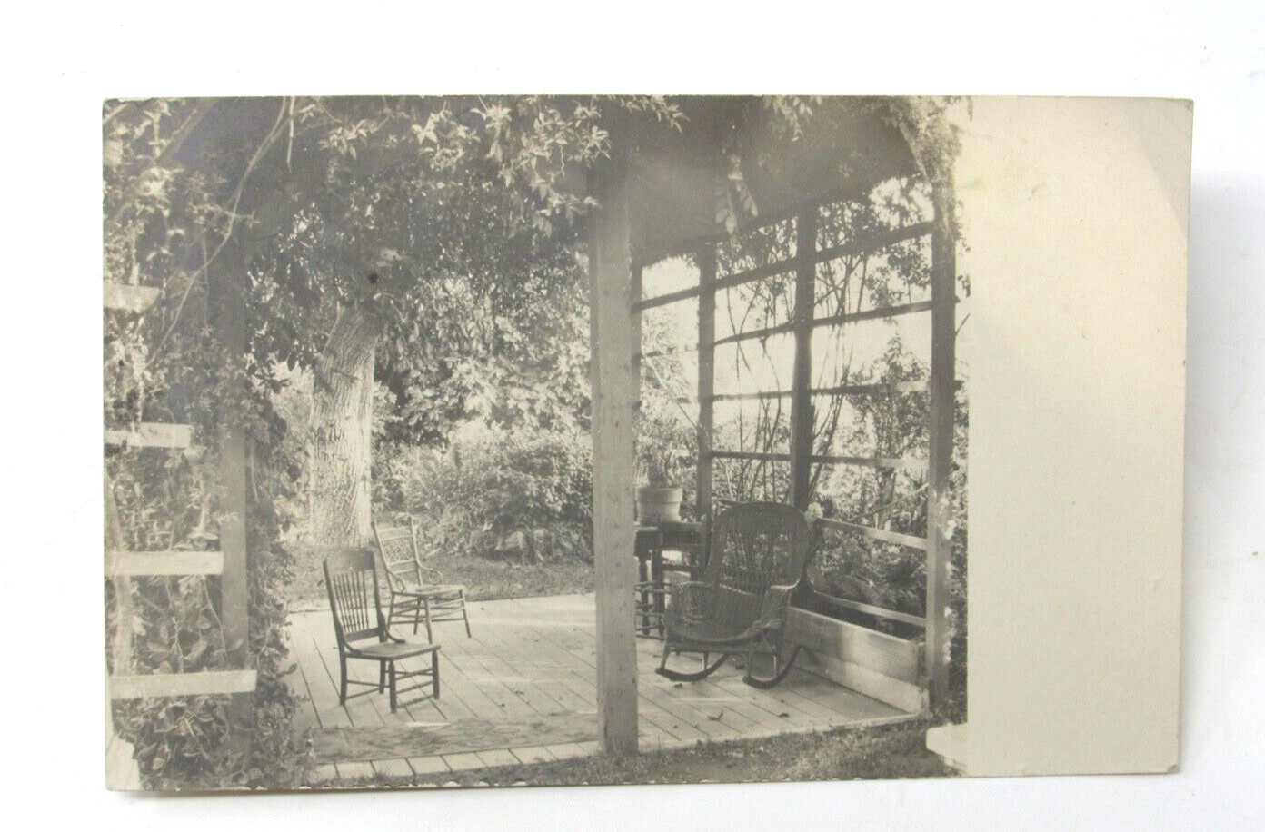 Santa Rosa CA RPPC Photo Postcard 1908 A. W. Riley Patio 595 Mendocino St.