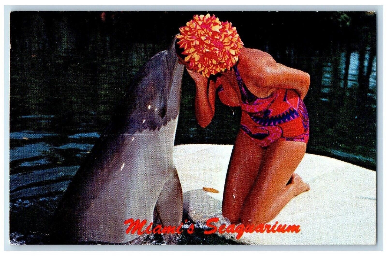c1950's Miami's Seaquarium Dolphin Girl Swimsuit Unposted Vintage Postcard