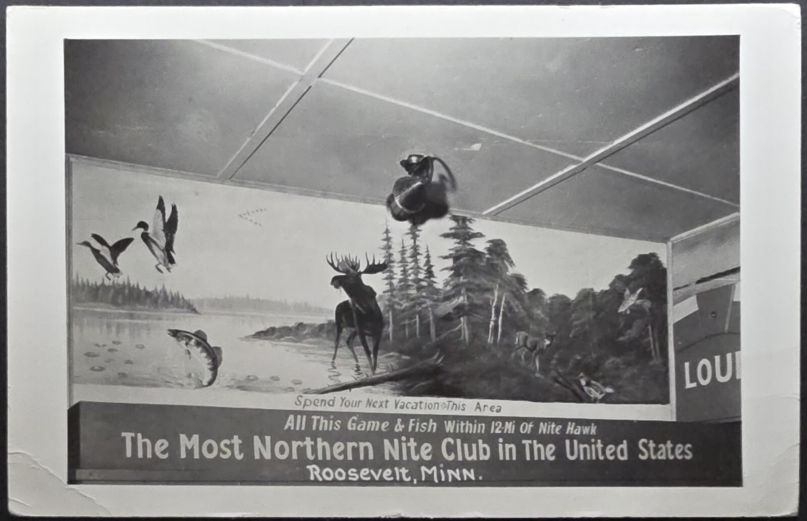 RPPC Roosevelt MN Most Northern Nite Club Hunting Fishing Sign Real Photo