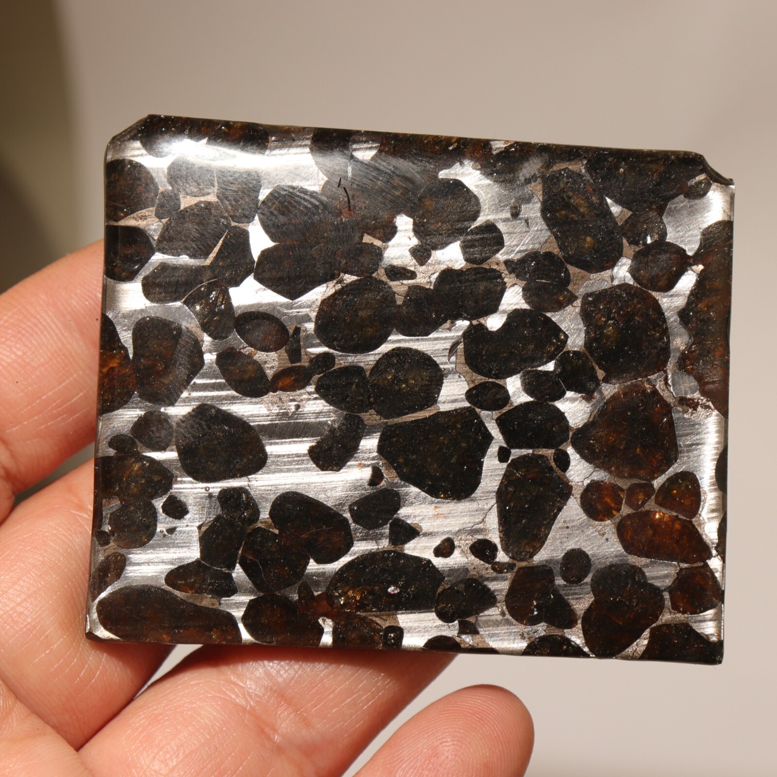 34g Rare slices of Kenyan Pallasite olive meteorite  A277