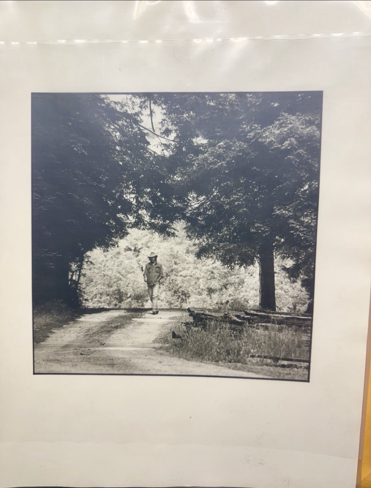 Neil Young Original Photo Print : D.Kessley for Inner Sleeve 1985 Old Way RARE+