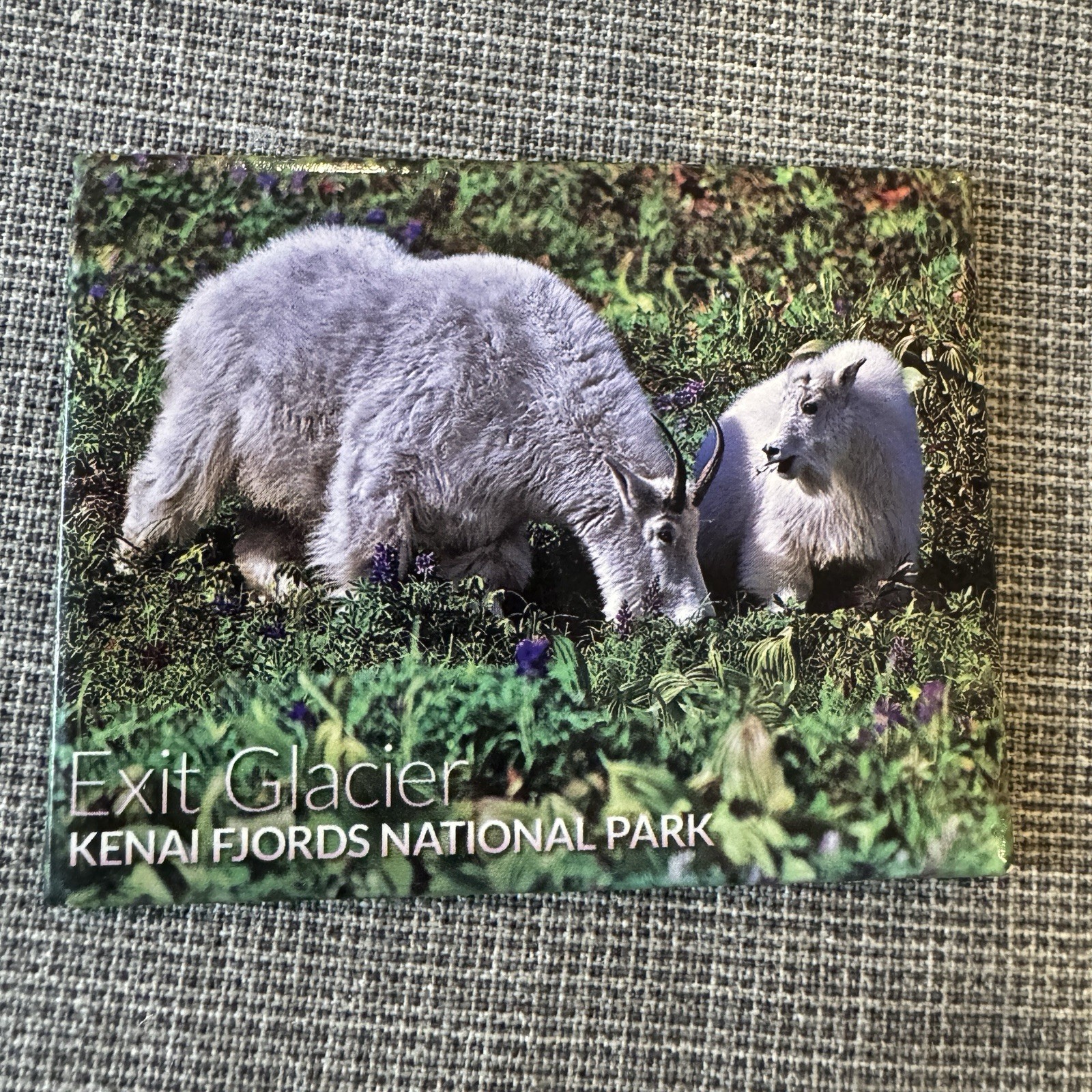 Kenai Fjords National Park Alaska Flexible Fridge Magnet Goats Exit Glacier Kenai Fjords National Park Alaska Flexible Fridge Magnet Goats Exit Glacier