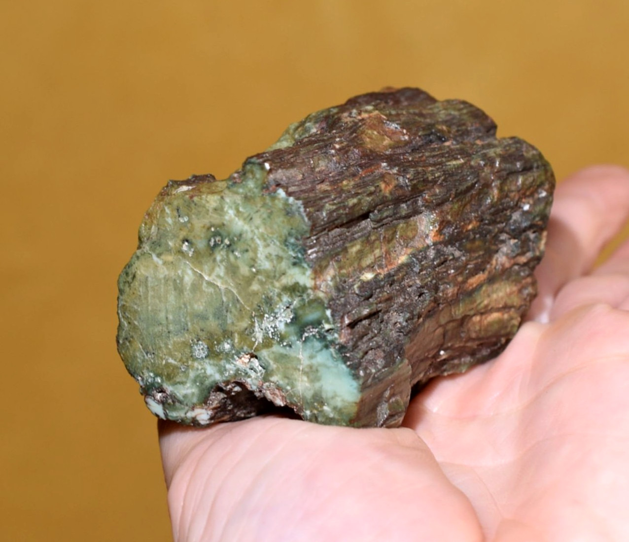 Polished Green Jasper Replaced Petrified Jasperised Wood Hampton Butte, Oregon Polished Green Jasper Replaced Petrified Jasperised Wood Hampton Butte, Oregon