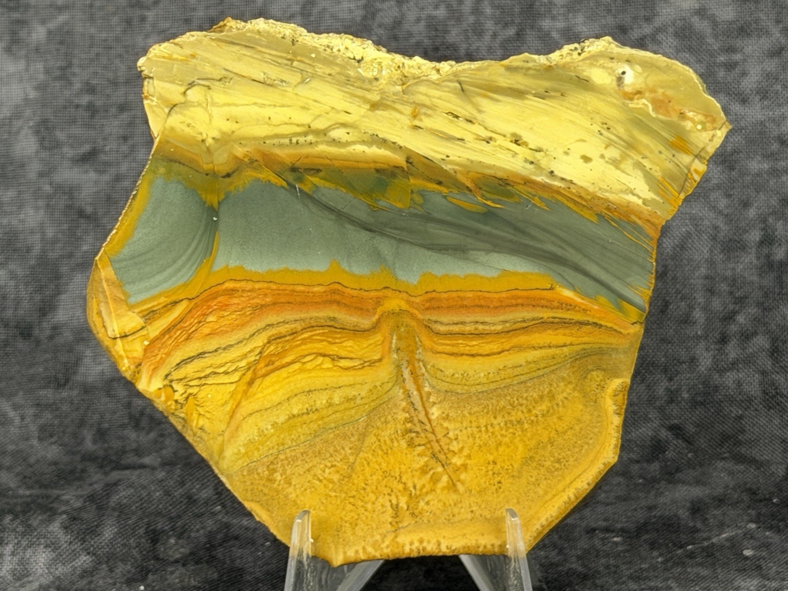 Old Stock Owyhee (Gem)Picture Jasper Slab, Lot#1469