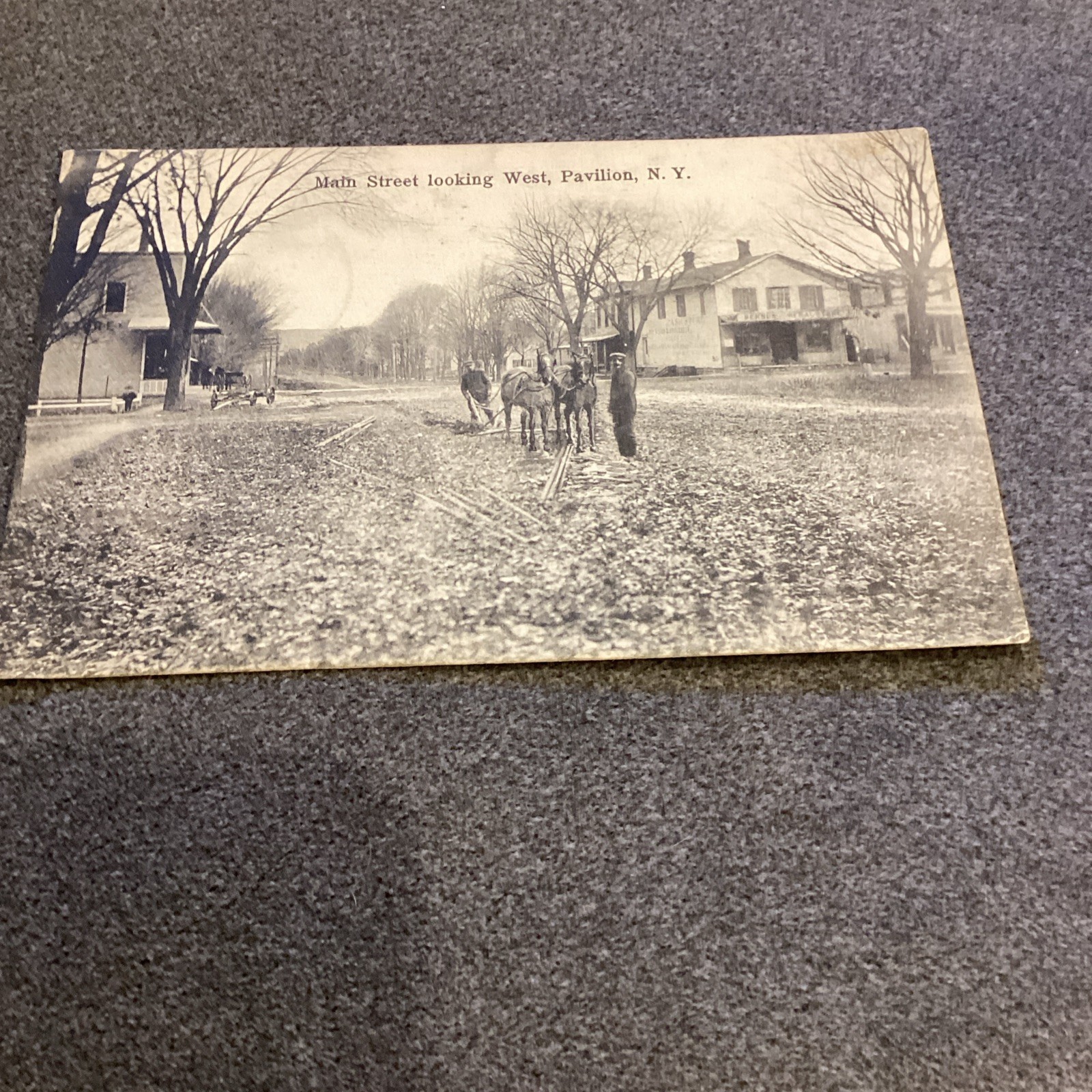 Vintage Post Card Main Street Pavilion NY