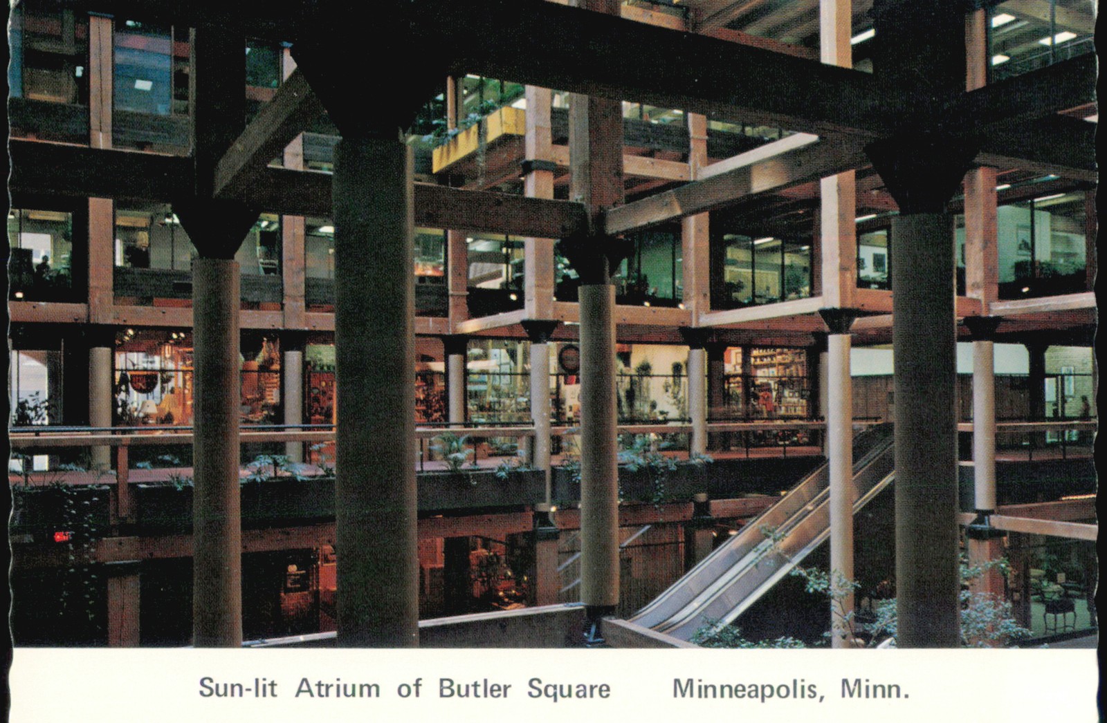 Minneapolis, Minnesota MN Sun-lit Atrium of Butler Square Vintage Postcard Minneapolis, Minnesota MN Sun-lit Atrium of Butler Square Vintage Postcard