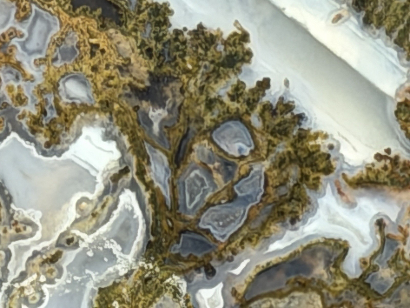 Rare Carey Moss Agate Slab, Lot#154