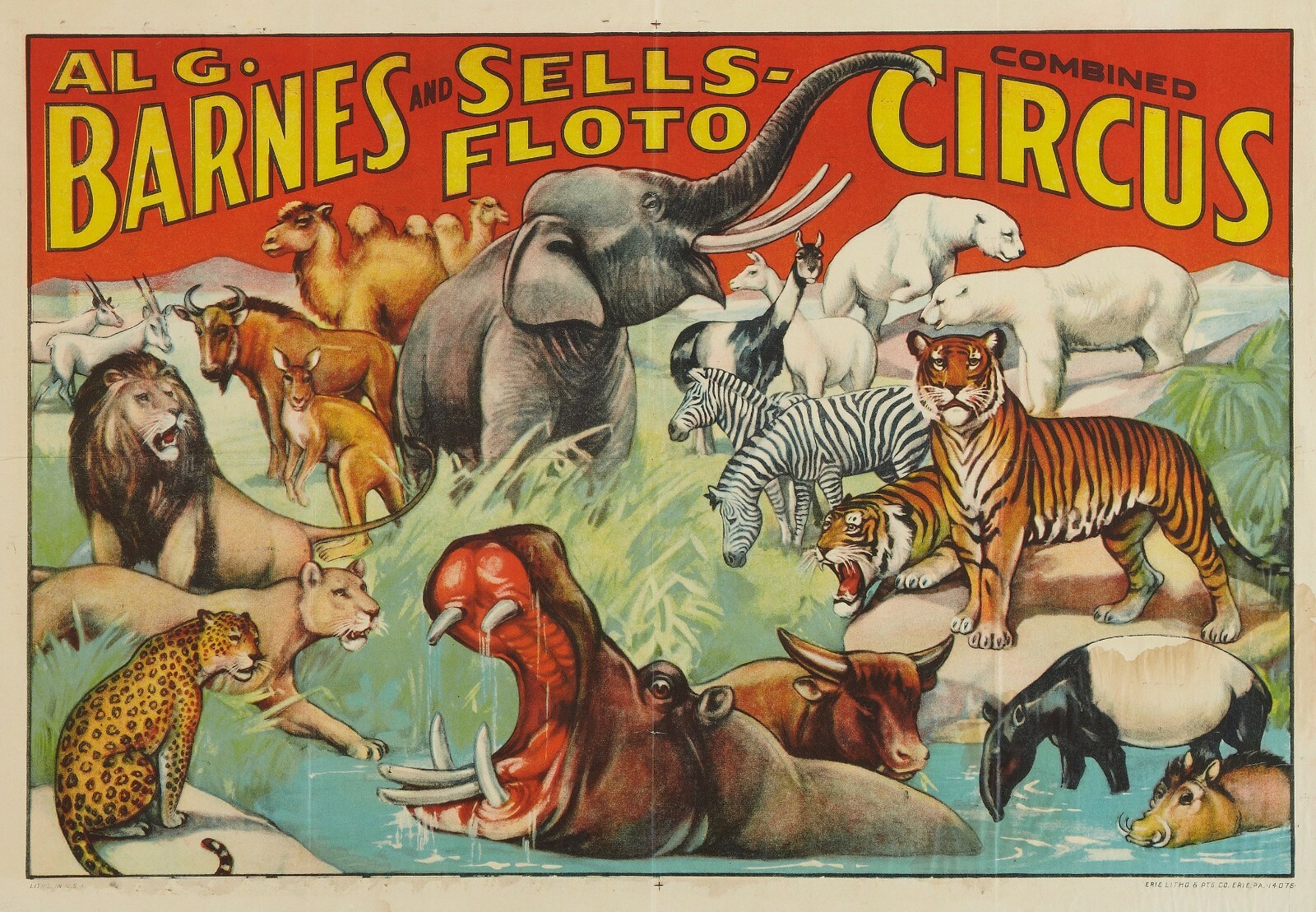 Circus, Clown, Side Shows, Posters 13 x 19 photo reproduction High quality 524