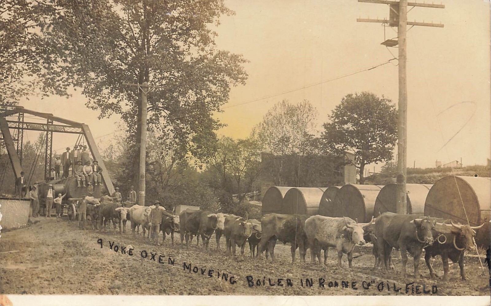 LP55 Spencer West Virginia Roane County Oil Field Oxen Move Boiler RPPC Postcard LP55 Spencer West Virginia Roane County Oil Field Oxen Move Boiler RPPC Postcard