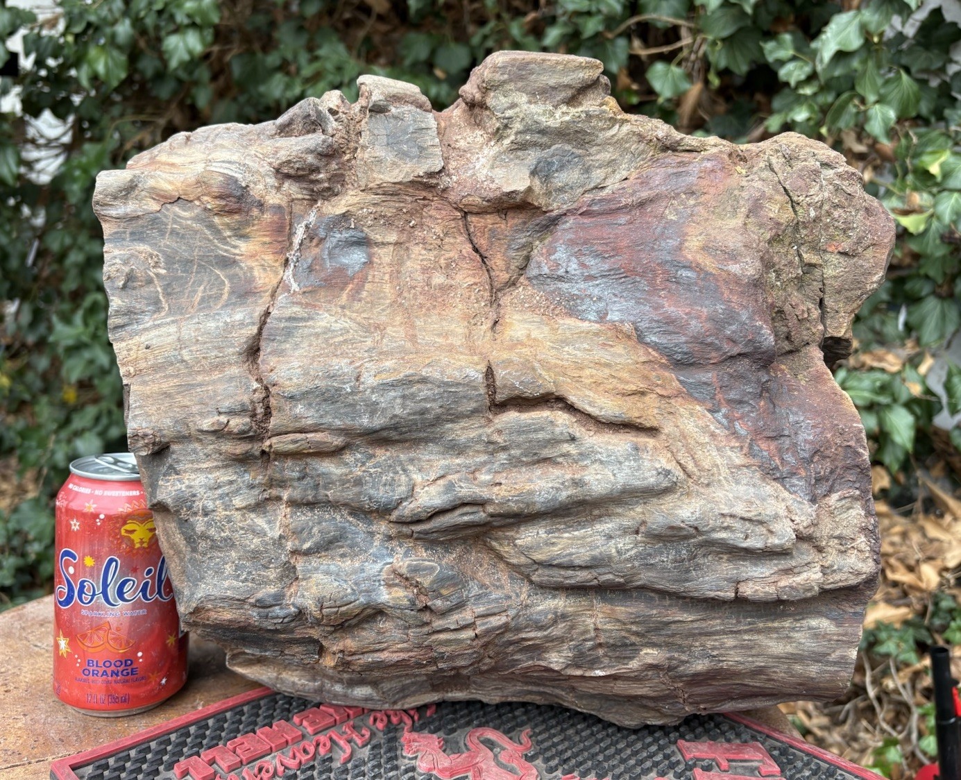 ☘️RR⛏️: Rough Full Round Detailed New Mexico Petrified Wood 111 Lb. 🪵