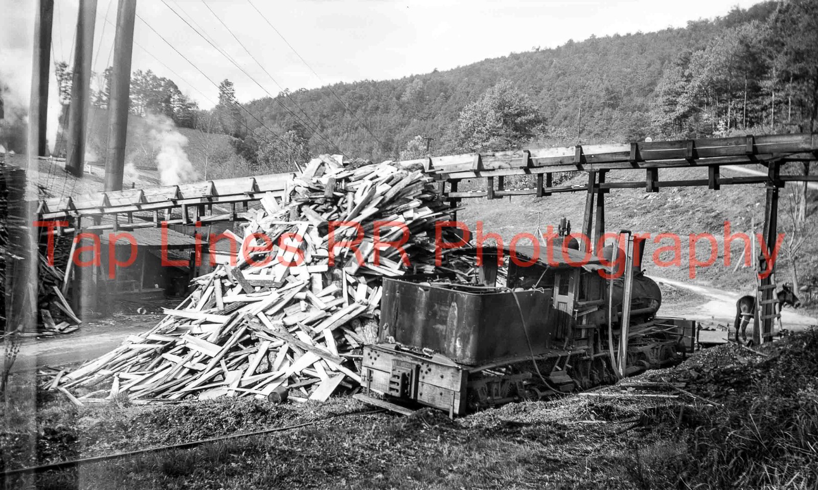 Intermountain Coal & Lumber Co #2  Putney KY 1958 by Tom King New 5x8 Photo