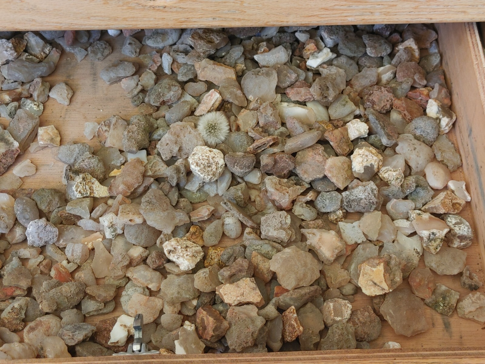 rough Idaho agate 1lb lot