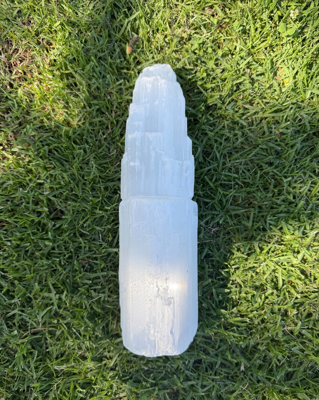 Natural Selenite Crystal Lamp 10-12