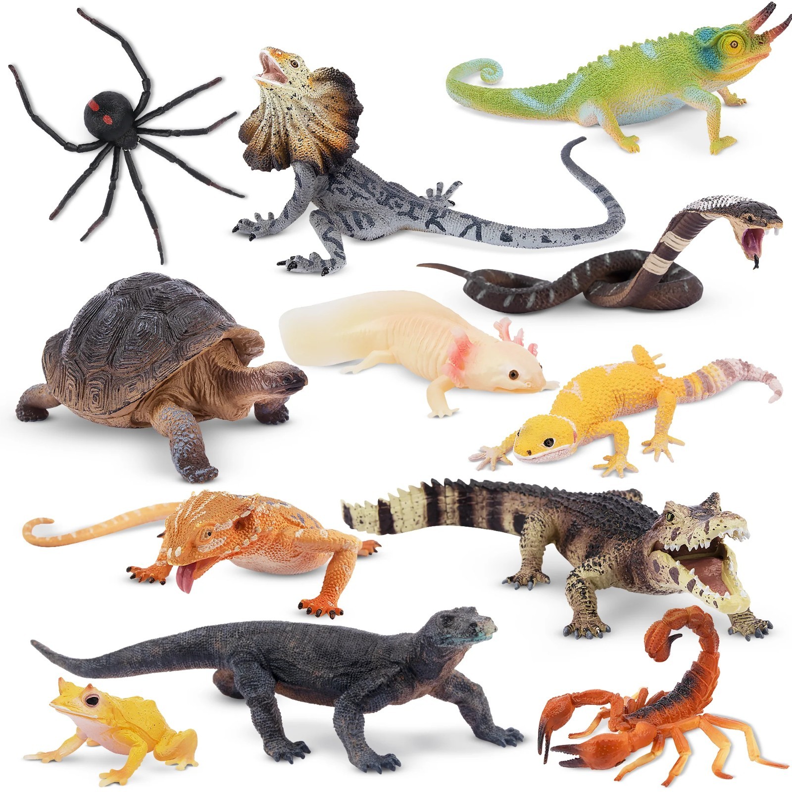 Toymany 12pcs Reptile Animal Figurine Realistic Collectible Handpainted Toy Set Toymany 12pcs Reptile Animal Figurine Realistic Collectible Handpainted Toy Set