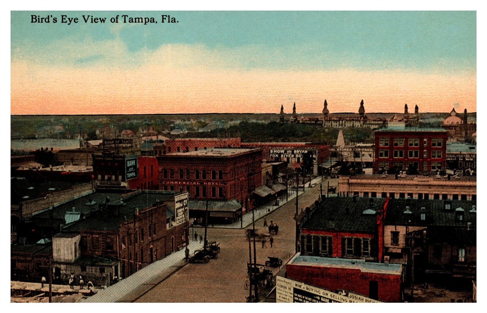 Tampa FL Birdseye View Cityscape Horse Carts Car Signs C1910s Postcard AH5
