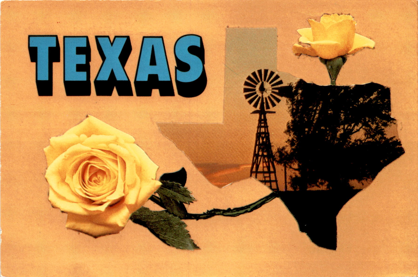 Texas, Union, Bluebonnet, Mockingbird, The Lone Star State, Amarillo, Postcard Texas, Union, Bluebonnet, Mockingbird, The Lone Star State, Amarillo, Postcard