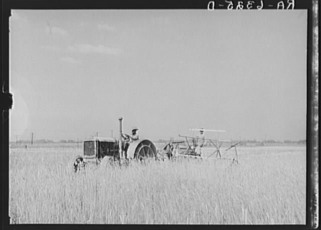Photo:Little Rock Arkansas 1936 Wheat Harvesting Farm Tractor FSA