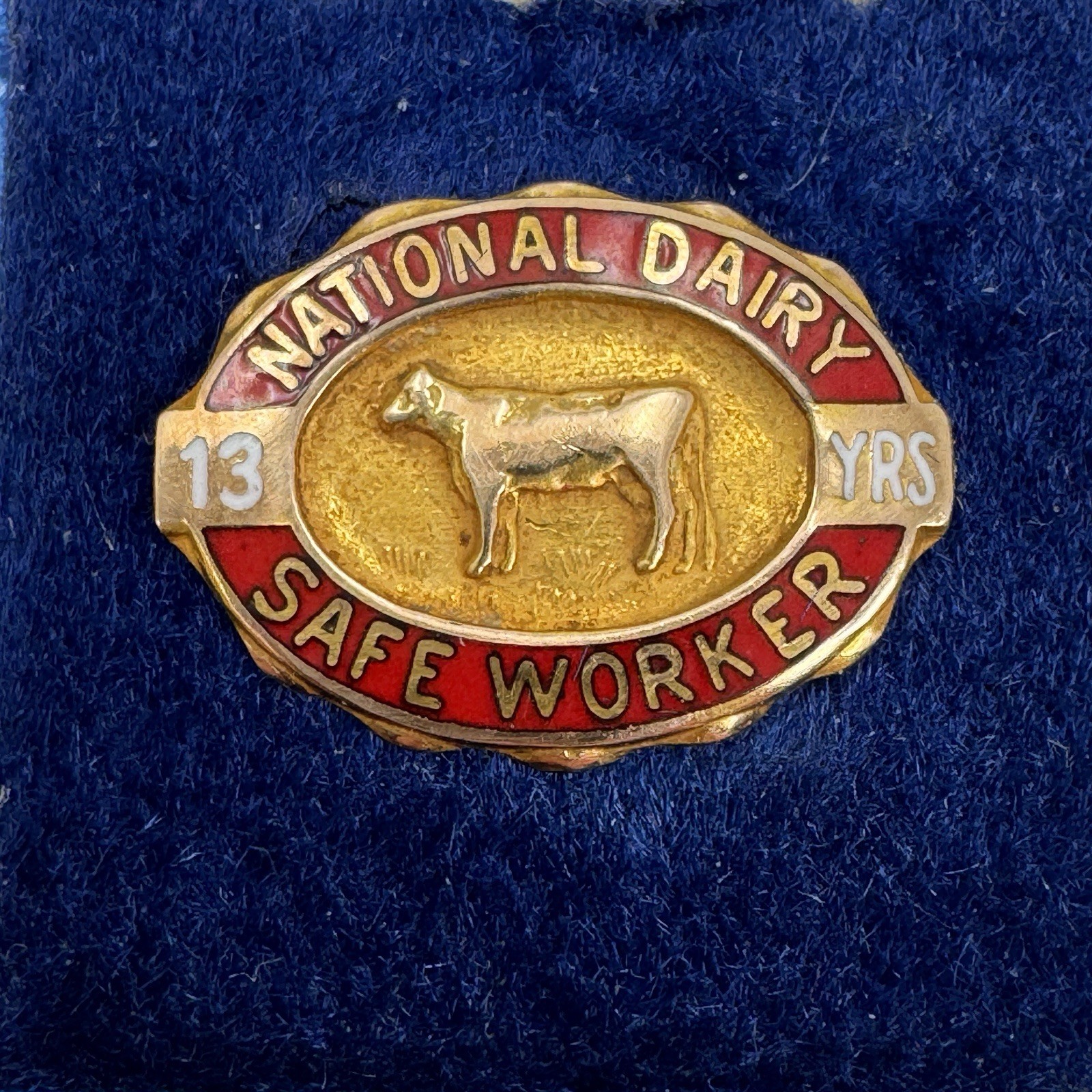 Vintage Solid 10k Gold National Dairy Safe Worker 13 Years Pin w/Original Case
