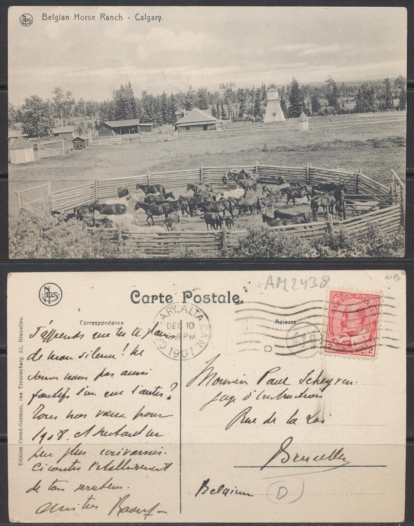 1907 Canada ~ Calgary ~ Belgian Horse Ranch ~ PM: Ranch Owner & Area Postmaster 1907 Canada ~ Calgary ~ Belgian Horse Ranch ~ PM: Ranch Owner & Area Postmaster